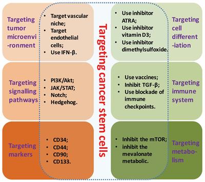 Drug-Loaded Polymeric Nanoparticles for Cancer Stem Cell Targeting